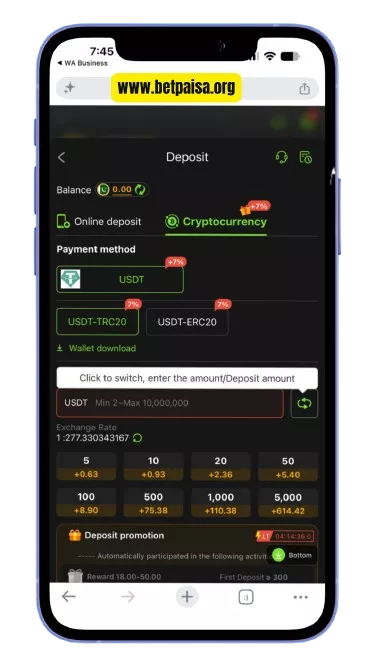 betpaisa app deposit system interface
