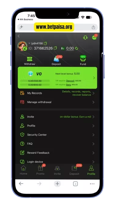 Betpaisa withdraw dashboard interface